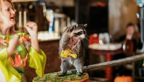 Цирк «Бурлеск», Усть-Илимск