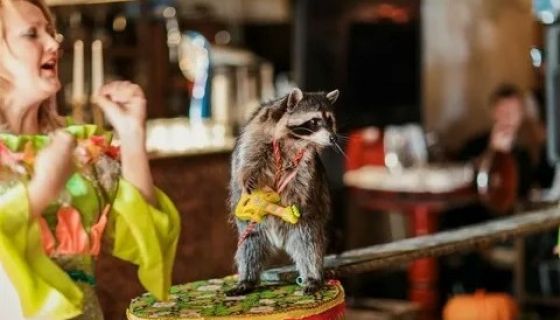 Цирк «Бурлеск», Тулун