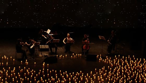 Оркестр при свечах «Muse». Гарри Поттер, Братск