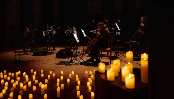 Оркестр при свечах «Muse». Гарри Поттер, Братск