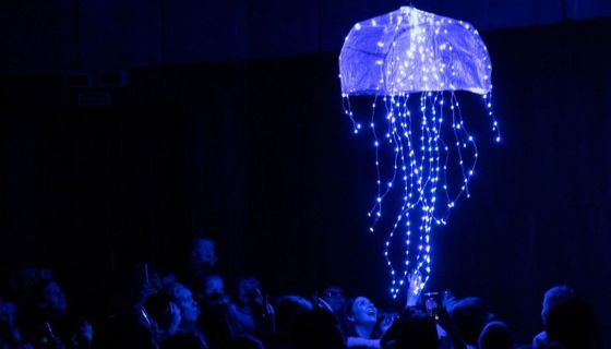 Представление световых кукол. Театр Николая Зыкова (Москва), Шелехов