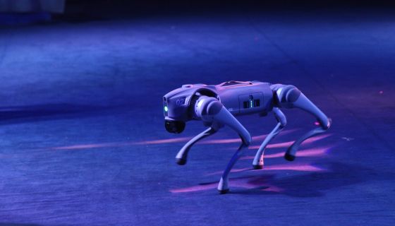 Цирк-шапито «Маска», Саянск