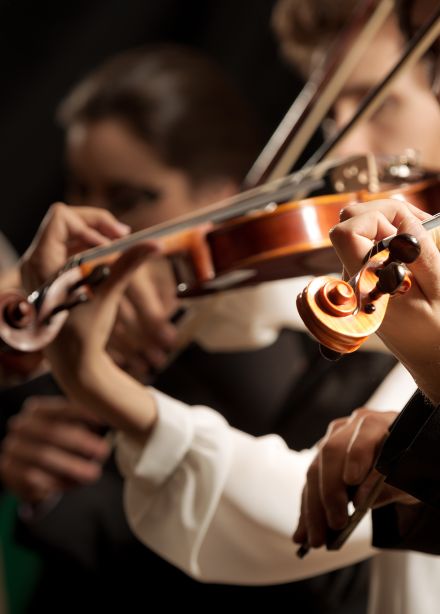 Канон. Музыка под куполом звёзд