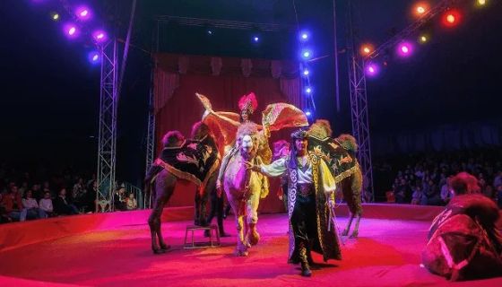 Цирк-шапито «Граф Орлов»