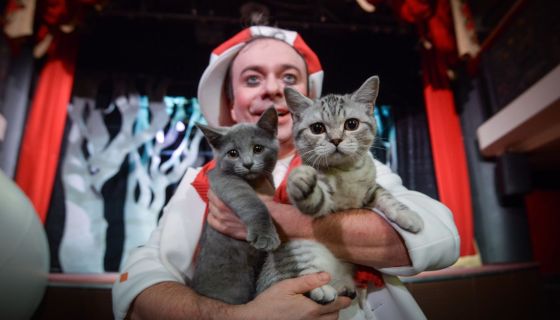 Дмитрий Куклачёв. Котобум, Ангарск
